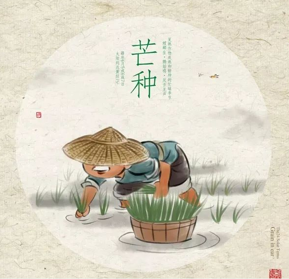 芒種時節(jié)，習(xí)俗不“盲”-普樂斯等離子清洗機