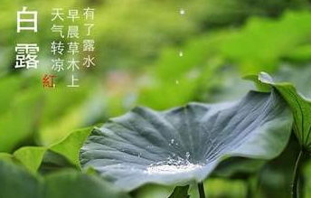 今迎白露,盛夏退場(chǎng)-普樂(lè)斯等離子清洗機(jī)